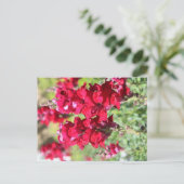 Briefkaart rode bloemen (Staand voorkant)