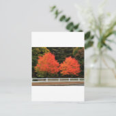 Briefkaart rode bomen (Staand voorkant)
