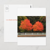 Briefkaart rode bomen (Voorkant / Achterkant)