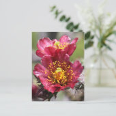 Briefkaart Rode Cholla Blooms (Staand voorkant)