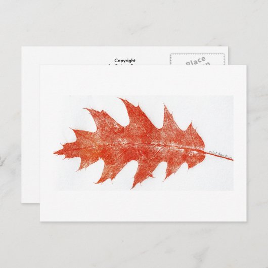 briefkaart rode eik Leaf #2 (Voorkant / Achterkant)