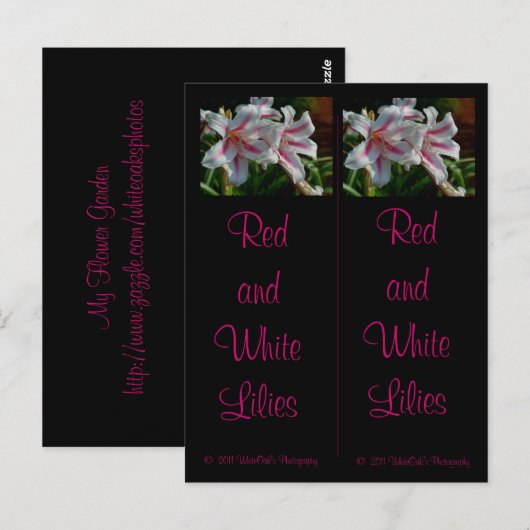 Briefkaart rode en witte gele Bladwijzer (Voorkant / Achterkant)