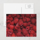 Briefkaart rode frambozen (Voorkant / Achterkant)