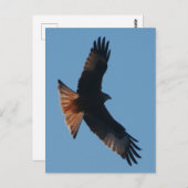 Briefkaart Rode kite (Voorkant / Achterkant)