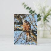 Briefkaart Rode kite (Staand voorkant)