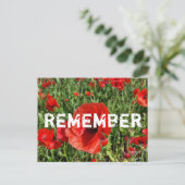 Briefkaart Rode papaver (Staand voorkant)