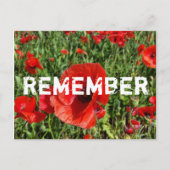 Briefkaart Rode papaver (Voorkant)