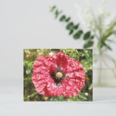  Briefkaart rode papaverblaasjes (Staand voorkant)