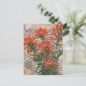 Briefkaart rode penseelventilator (Staand voorkant)