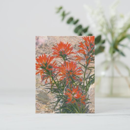 Briefkaart rode penseelventilator (Staand voorkant)