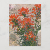 Briefkaart rode penseelventilator (Voorkant)