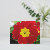 Briefkaart rode primrose (Staand voorkant)