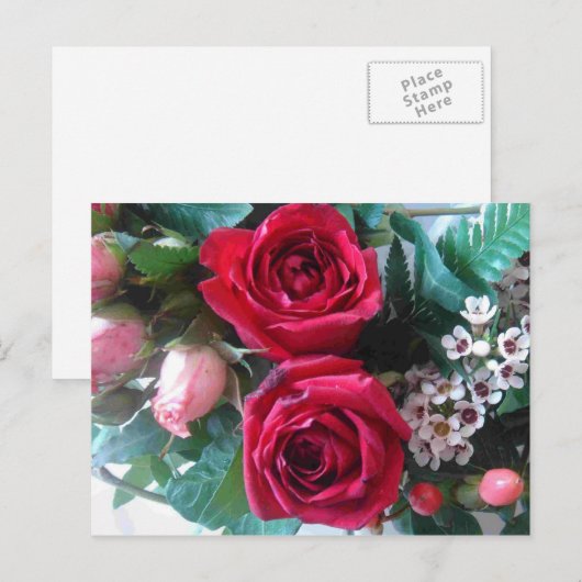 Briefkaart rode rozen (Voorkant / Achterkant)