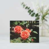 Briefkaart rode rozen (Staand voorkant)