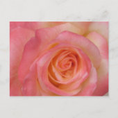 Briefkaart rode rozenrood (Voorkant)