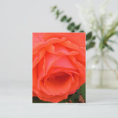 Briefkaart rode rozenrood (Staand voorkant)