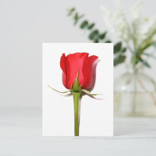 Briefkaart rode rozenrood (Staand voorkant)