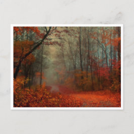 Briefkaart - Romantic Misty Autumn Day