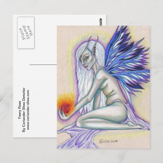 Briefkaart Roos (Voorkant / Achterkant)