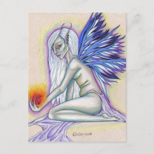 Briefkaart Roos (Voorkant)