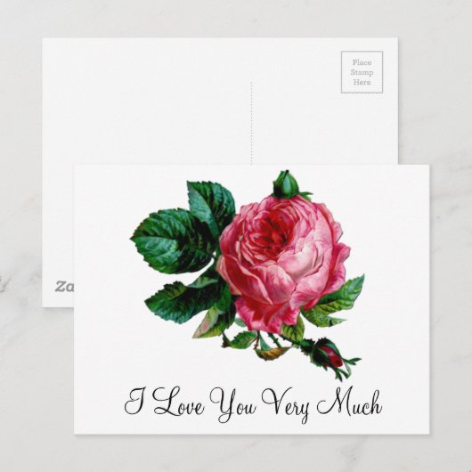 Briefkaart Roos (Voorkant / Achterkant)