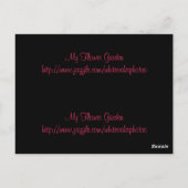 Briefkaart Roos Bladwijzer (Achterkant)