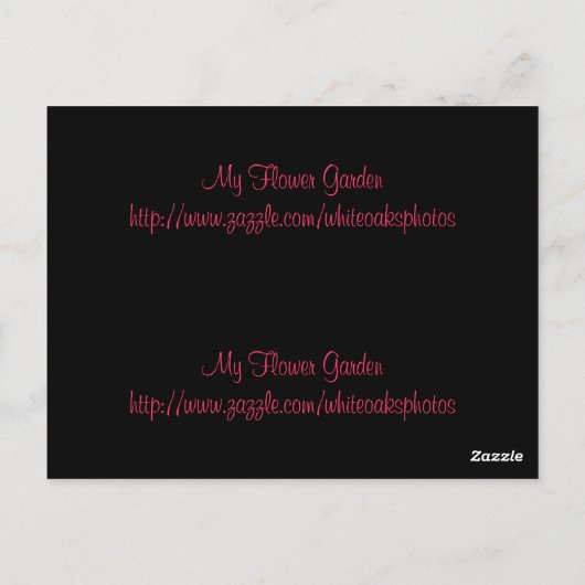 Briefkaart Roos Bladwijzer (Achterkant)