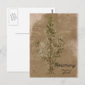  Briefkaart Rosemary Herb (Voorkant / Achterkant)
