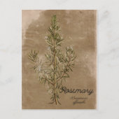  Briefkaart Rosemary Herb (Voorkant)