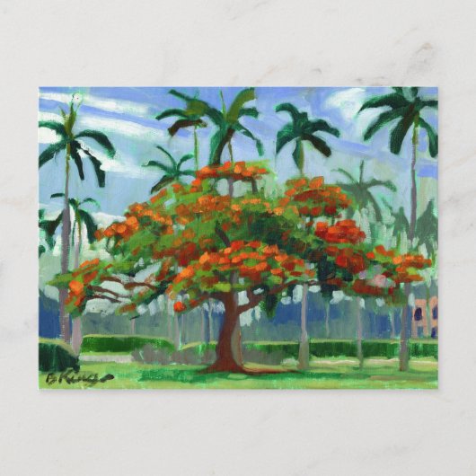Briefkaart Royal Poinciana (Voorkant)