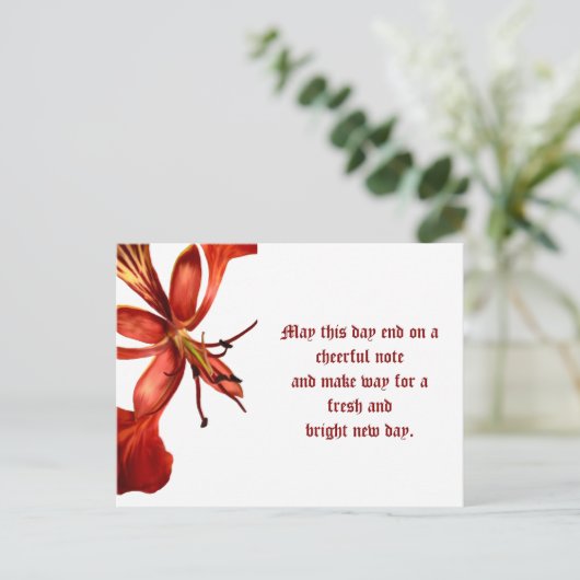 Briefkaart Royal Poinciana (Staand voorkant)