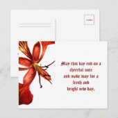 Briefkaart Royal Poinciana (Voorkant / Achterkant)