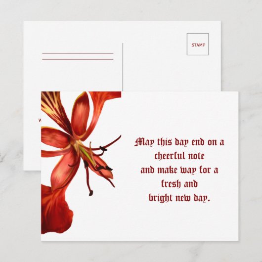 Briefkaart Royal Poinciana (Voorkant / Achterkant)