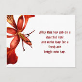 Briefkaart Royal Poinciana (Voorkant)