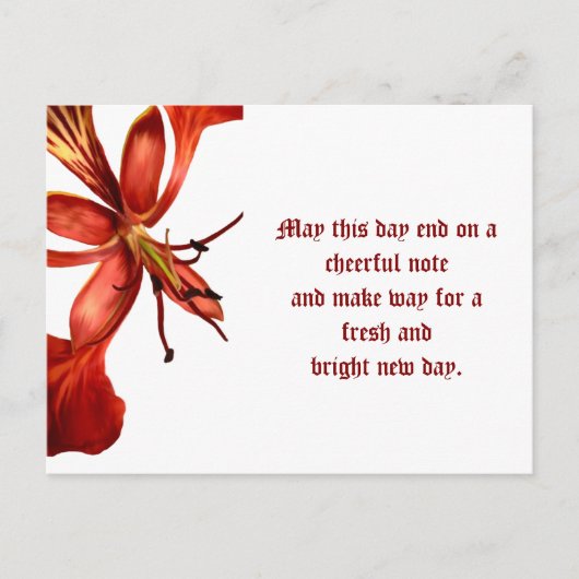 Briefkaart Royal Poinciana (Voorkant)