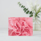 Briefkaart roze anjer dicht bij elkaar (Staand voorkant)