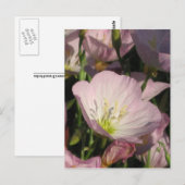 Briefkaart Roze bloemen (Voorkant / Achterkant)