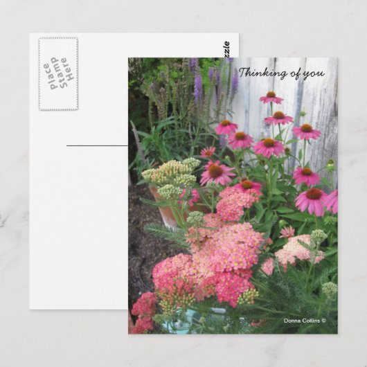 Briefkaart Roze bloemen (Voorkant / Achterkant)