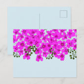 Briefkaart Roze bloemen (Voorkant / Achterkant)