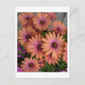 BRIEFKAART Roze bloemen (Voorkant)