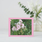 Briefkaart Roze bloemen (Staand voorkant)