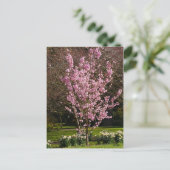 Briefkaart Roze Cherry Tree (Staand voorkant)