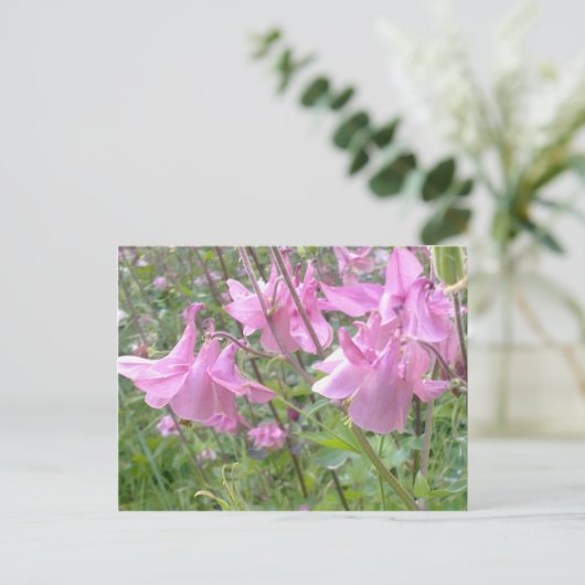 Briefkaart Roze Columbine Flowers (Staand voorkant)