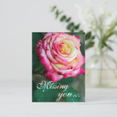 Briefkaart/roze en witte roze briefkaart (Staand voorkant)
