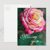 Briefkaart/roze en witte roze briefkaart (Voorkant / Achterkant)