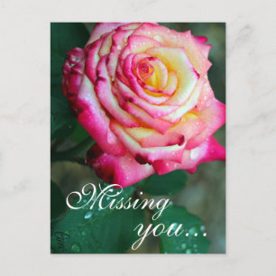 Briefkaart/roze en witte roze briefkaart