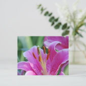 Briefkaart Roze Lilies (Staand voorkant)