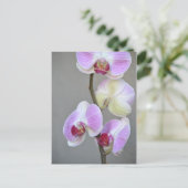 Briefkaart Roze Orchid Flowers (Staand voorkant)