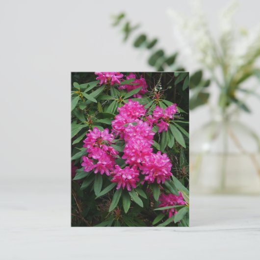 Briefkaart Roze Rhododendron Flowers (Staand voorkant)