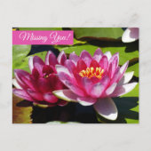 Briefkaart Roze waterlelies (Voorkant)